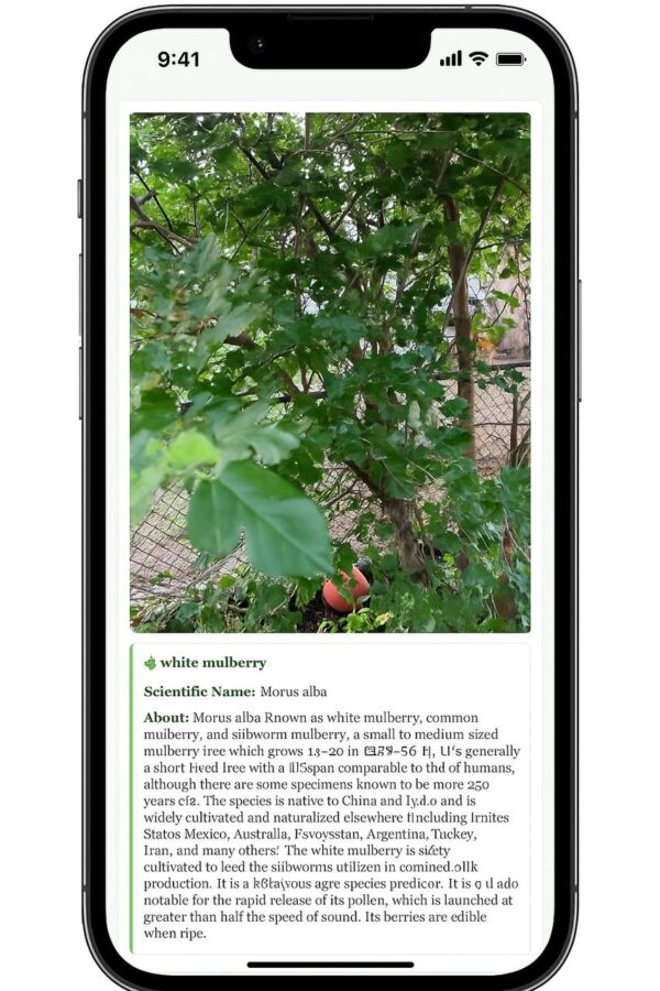 Plant Remedy App - Monthly